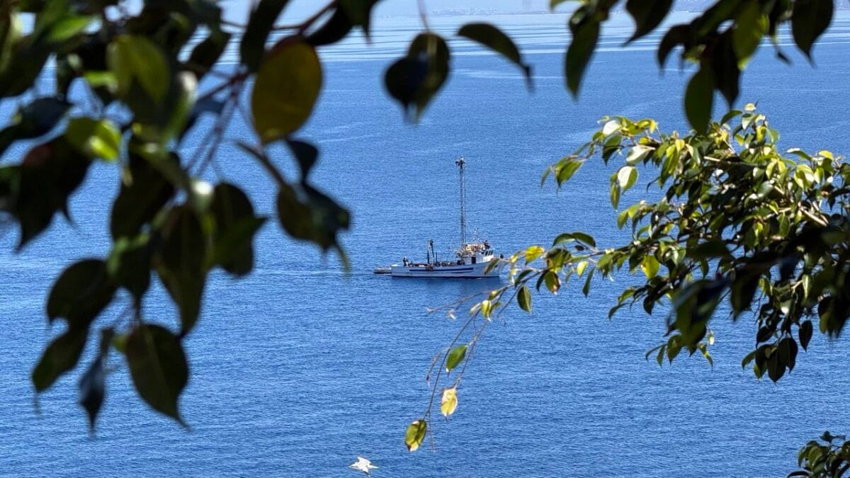 Un'imbarcazione per la pesca del pesce spada a largo di Scilla