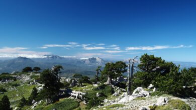 Uno scorcio del Parco Nazionale del Pollino, Foto di nodichotomy su Unsplash