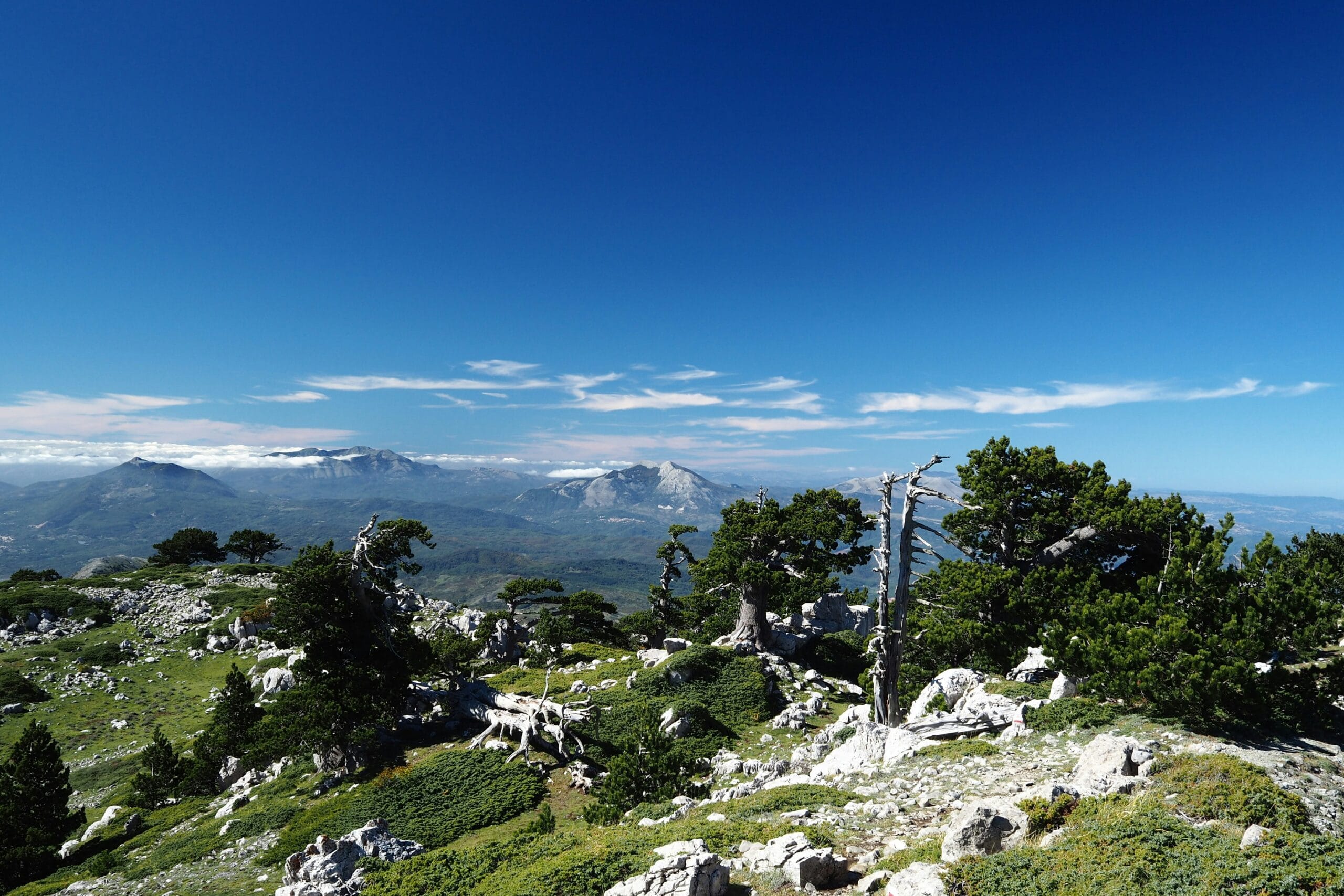Uno scorcio del Parco Nazionale del Pollino, Foto di nodichotomy su Unsplash